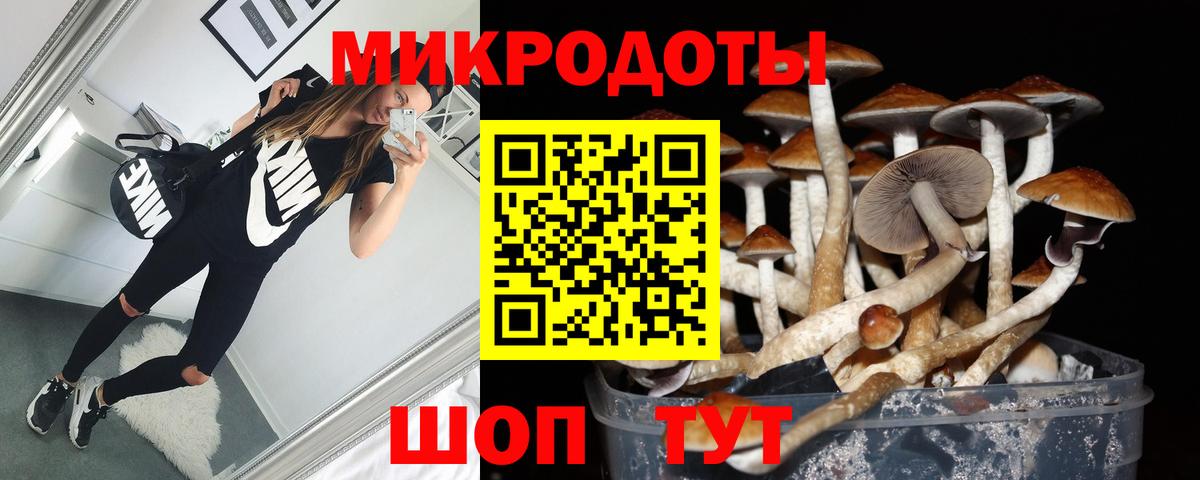 Галлюциногенные грибы Psilocybine cubensis Ликино-Дулёво