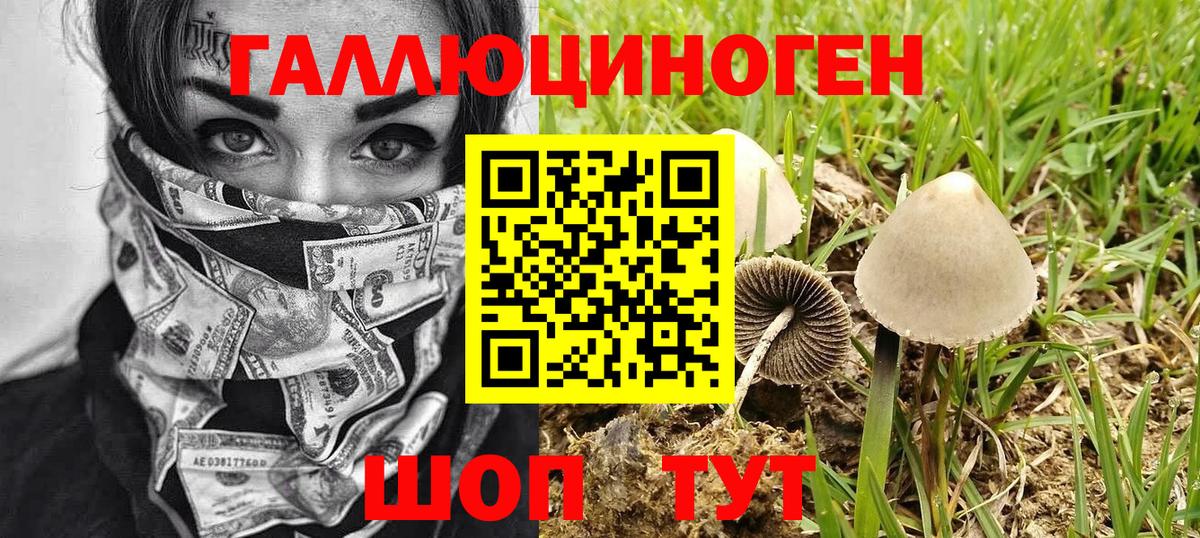 Ликино-Дулёво  Галлюциногенные грибы GOLDEN TEACHER  Вход с VPN  Галлюциногенные грибы мухоморы 